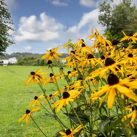 Nelsen Mit Ruderboot Auf Wassergrundstueck 別荘 *